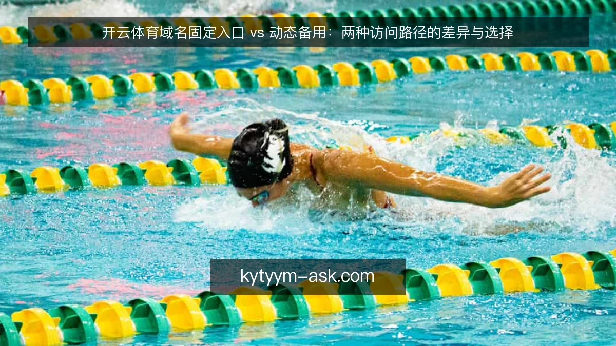 开云体育域名固定入口 vs 动态备用：两种访问路径的差异与选择