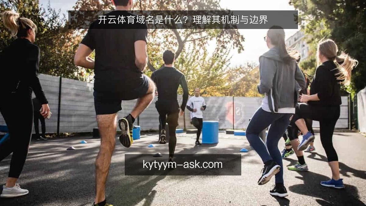 开云体育域名是什么？理解其机制与边界