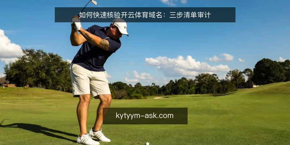 如何快速核验开云体育域名:三步清单审计 — 为什么需要核验域名 配图