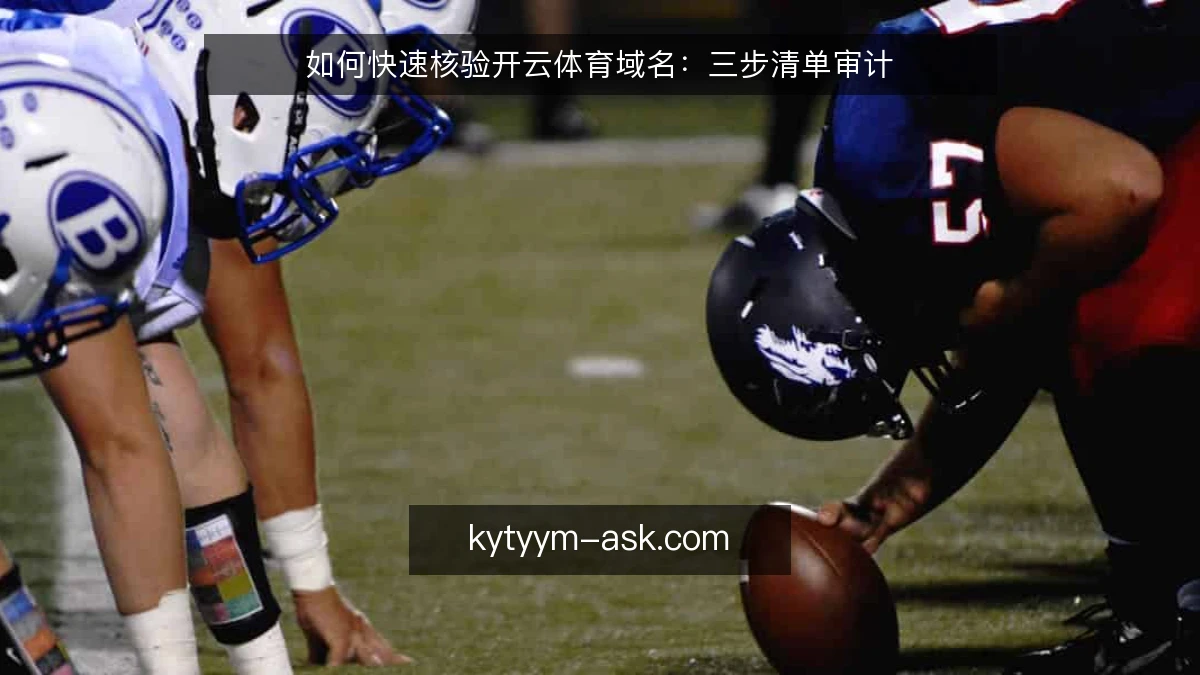 如何快速核验开云体育域名:三步清单审计