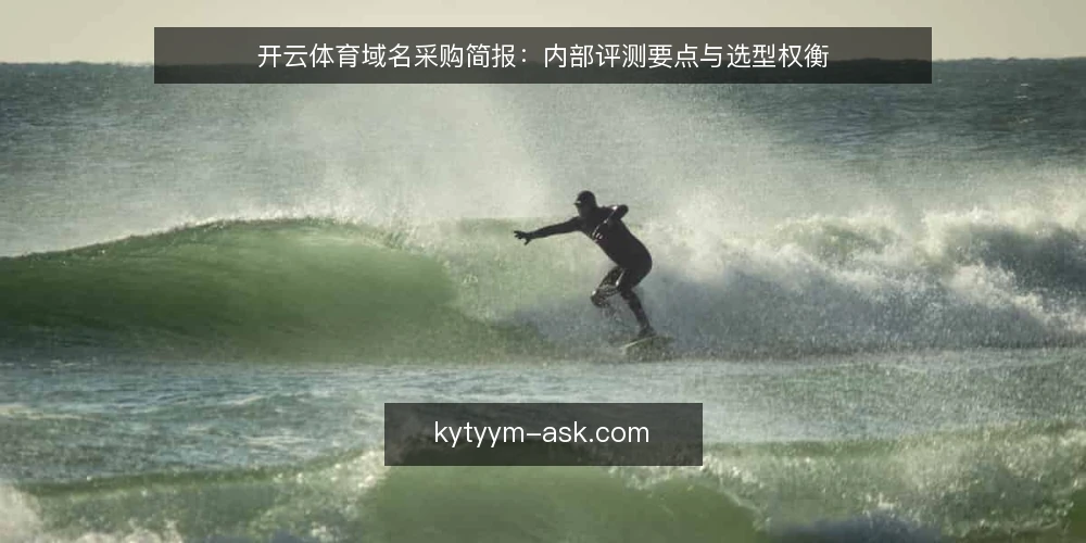 开云体育域名采购简报:内部评测要点与选型权衡 — 需求定义与评测范围 配图