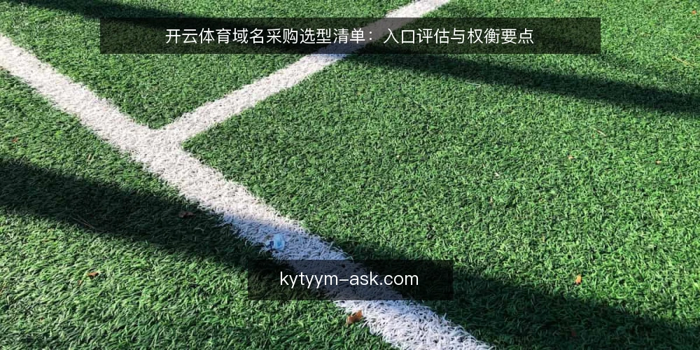 开云体育域名采购选型清单：入口评估与权衡要点 — 为什么现在要做入口审计 配图