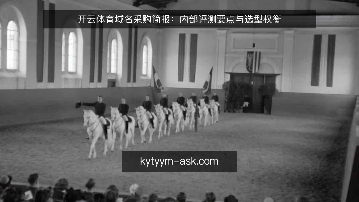 开云体育域名采购简报:内部评测要点与选型权衡