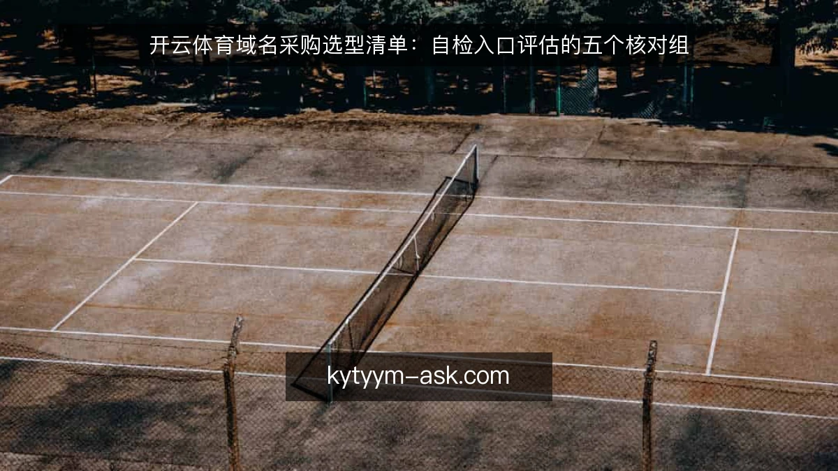 开云体育域名采购选型清单：自检入口评估的五个核对组