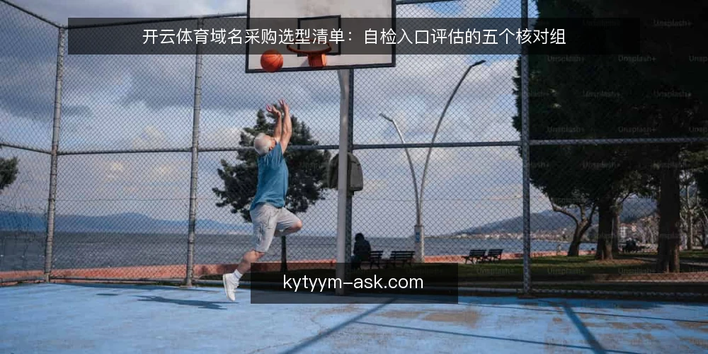 开云体育域名采购选型清单：自检入口评估的五个核对组 — 先定义你要的入口需求 配图