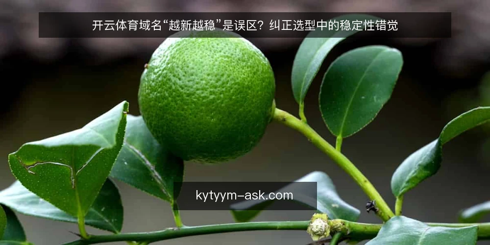 开云体育域名“越新越稳”是误区？纠正选型中的稳定性错觉 — 误区起点：把“最新”当成“稳定” 配图