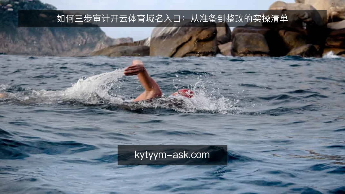 如何三步审计开云体育域名入口:从准备到整改的实操清单