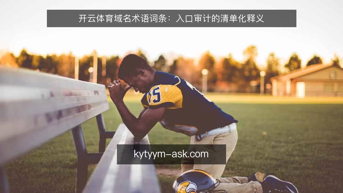 开云体育域名术语词条:入口审计的清单化释义