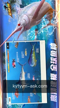 历史记录对比